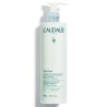 LECHE ALMENDRA DESMAQUILLANTE VINOCLEAN CAUDALIE 400 ML